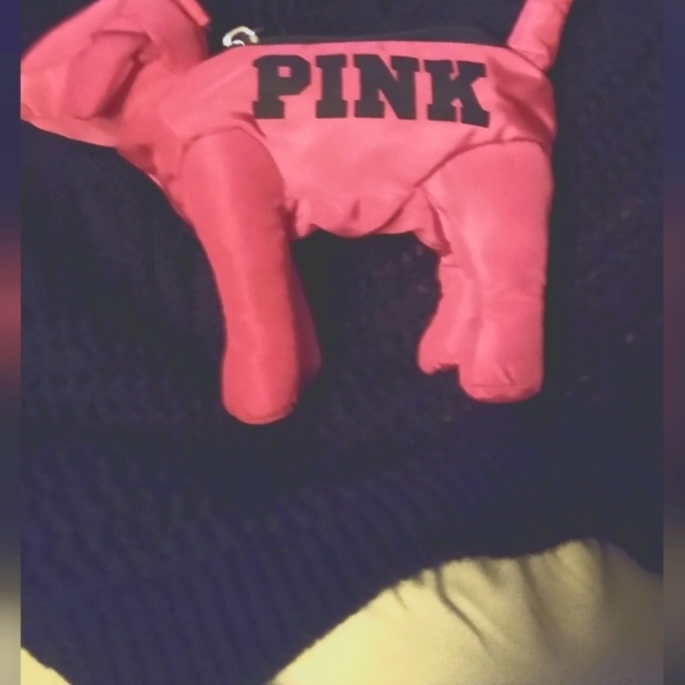 VS Pink keychain bag holder